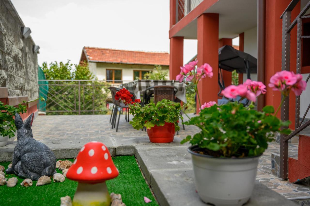 Къща За Гости „Жоро И Дани “ Villa Sapareva Banya Luaran gambar